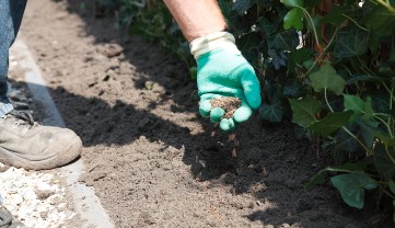 Stap 11: Bemesten van de kant en klaar haag