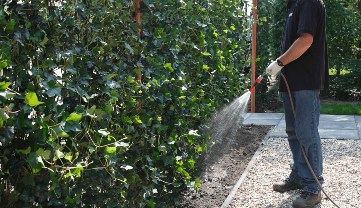 Stap 12: aandrukken en bewateren