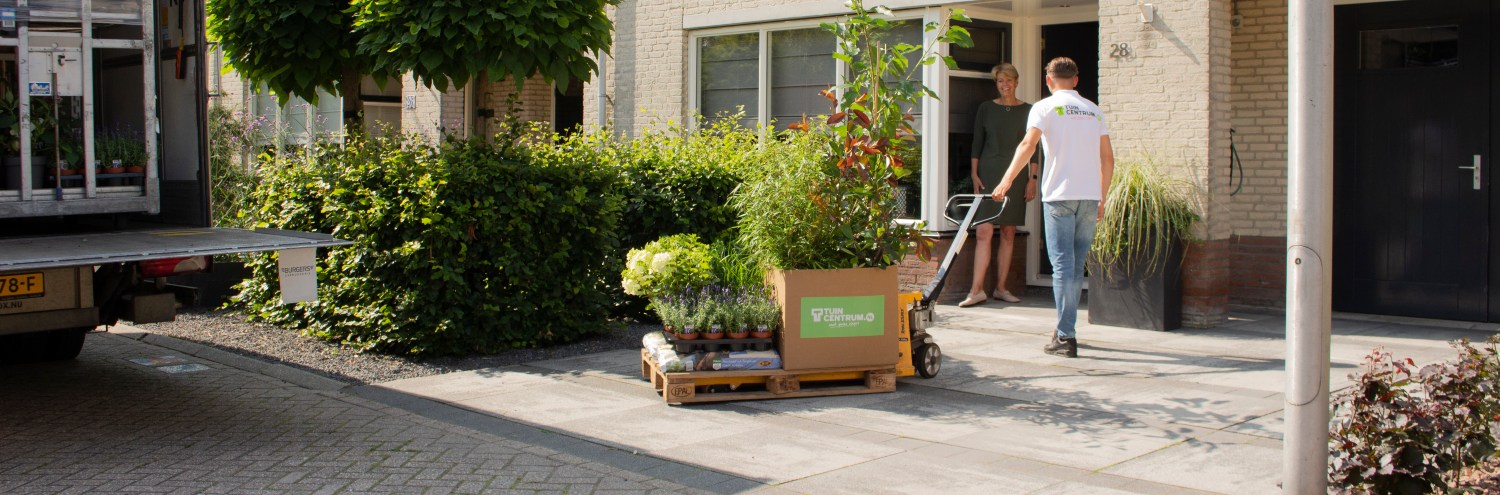 Westers noodsituatie Wanneer Tuincentrum.nl | Online planten kopen voor tuin & huiskamer